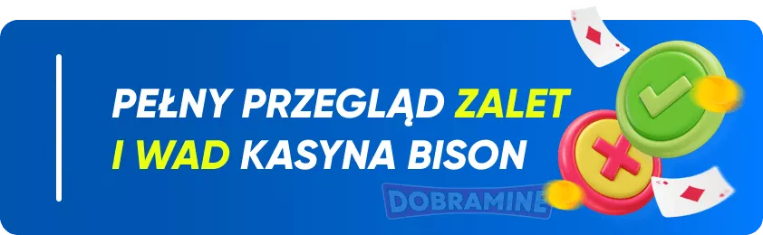The main advantages and disadvantages of Bison online casino
